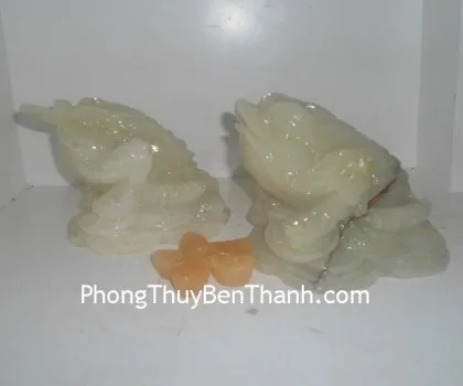 Thiềm thừ hoàng long trung FGM021